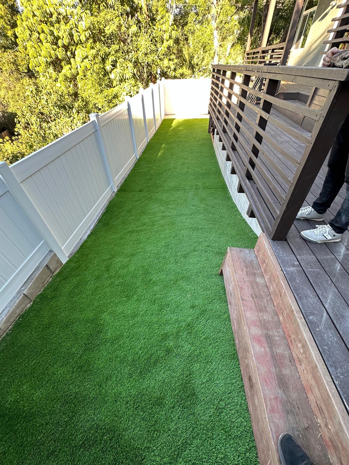 WhatsApp Image 2025-06-02 at 8.34.07 PM